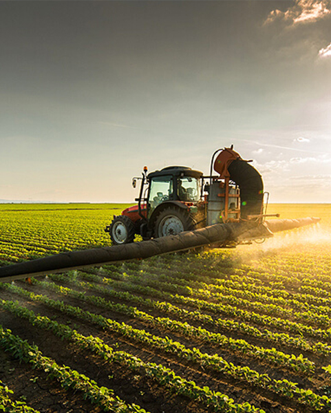 Fertilizer Industry
