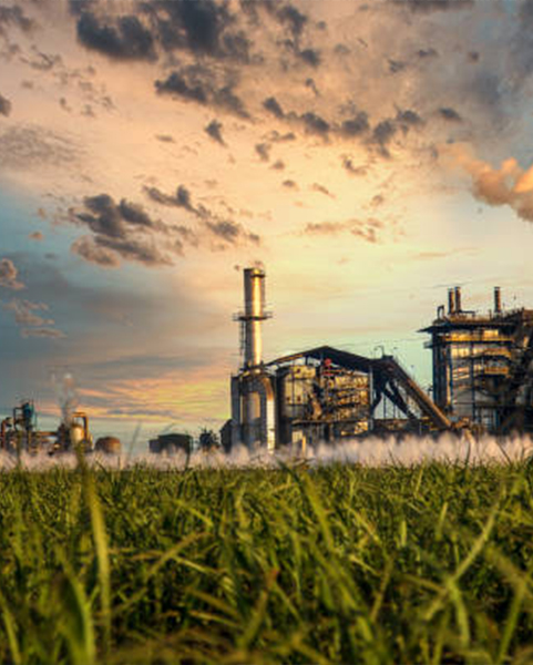 Sugar Industry