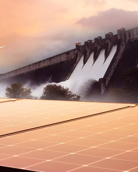 Renewable Energy Industry
